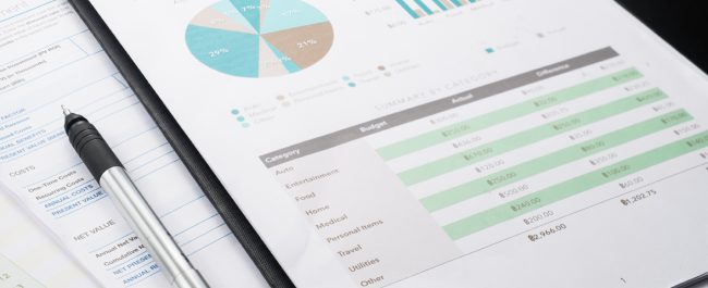 Standard of Living Report